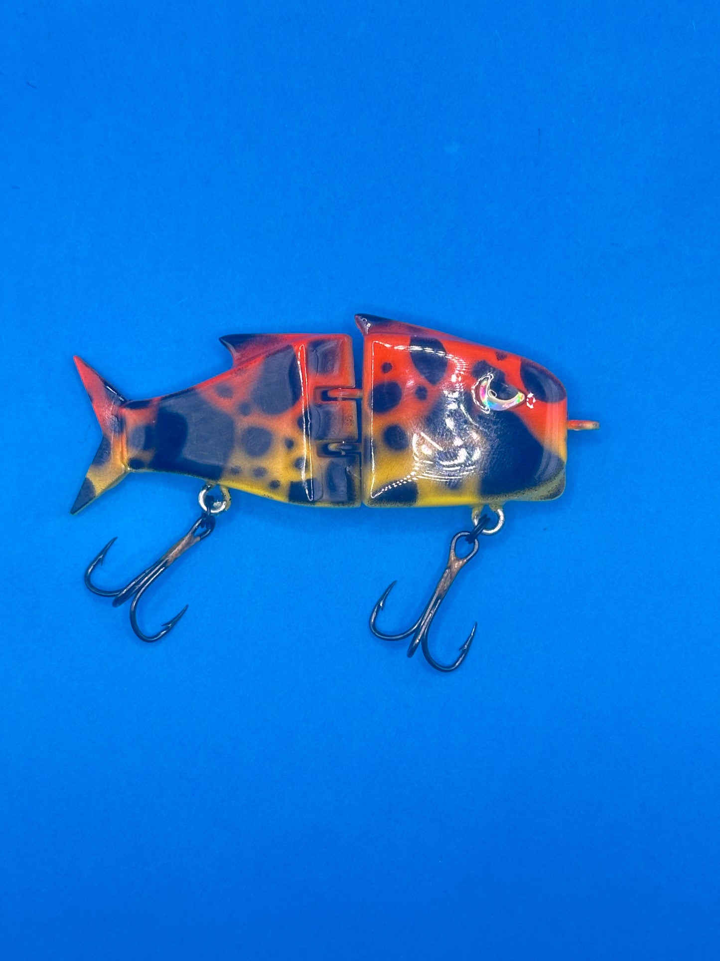 BFS Tangerine Tiger 2inch