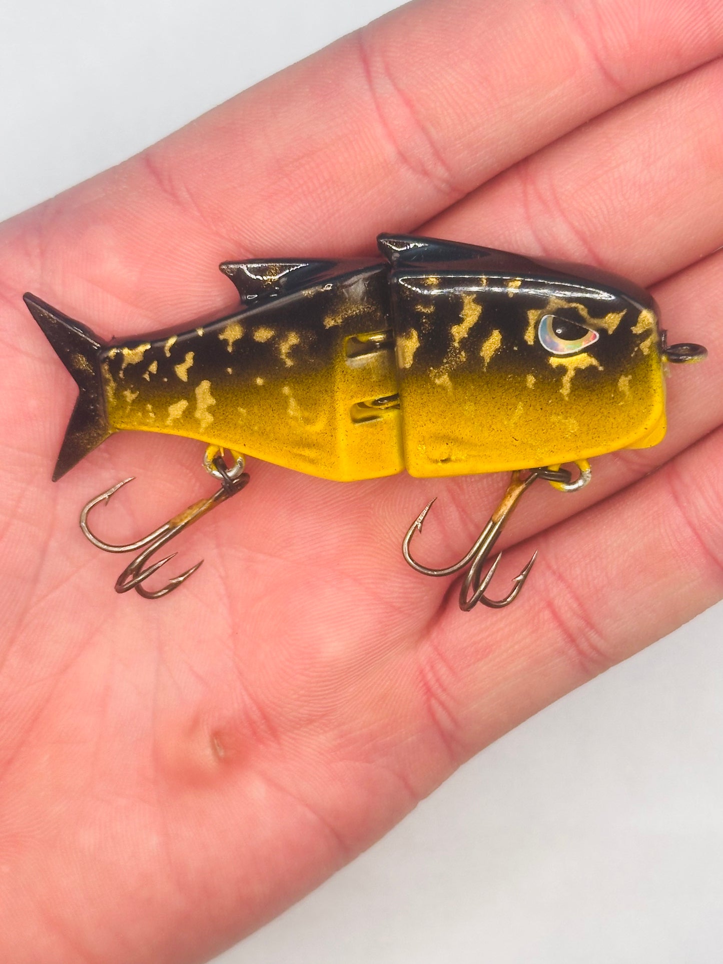 BFS WI Shiner Diner 2 inch